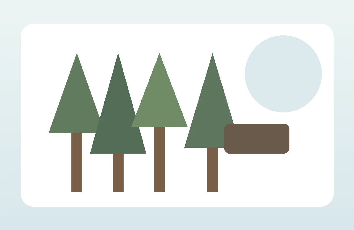 Waldweg als Symbol für eine Jagdhaftpflichtversicherung